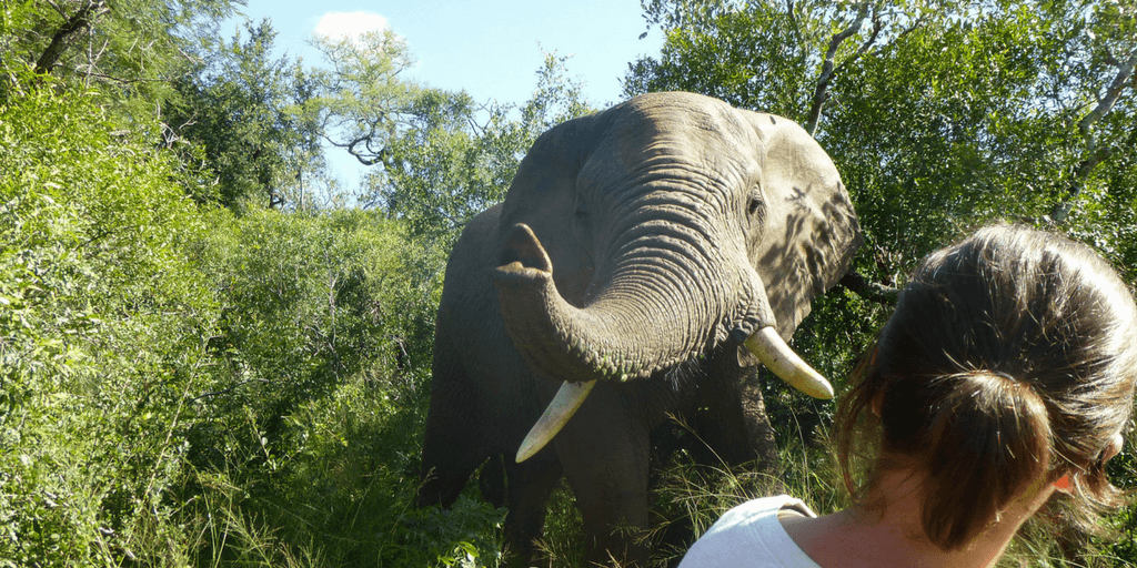 Seeing how volunteers react to their first interaction with South Africa’s wildlife is what Leah loves about working with international volunteers.