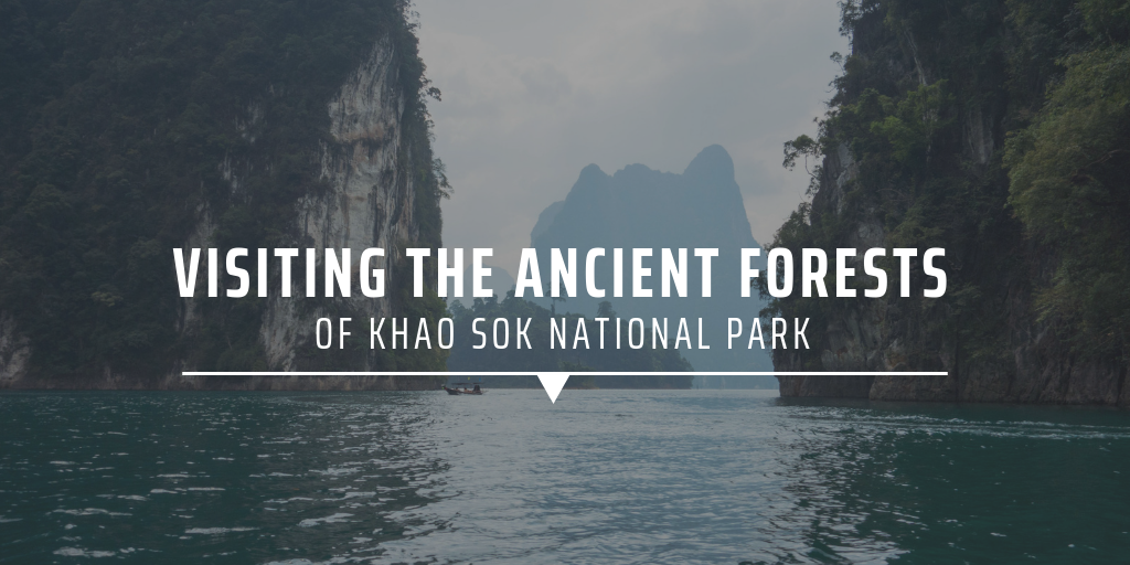 visiting Khao Sok National Park
