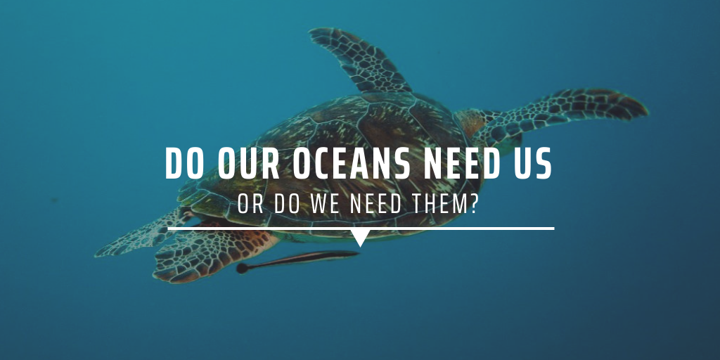 Do our oceans need us or do we need them? | GVI UK
