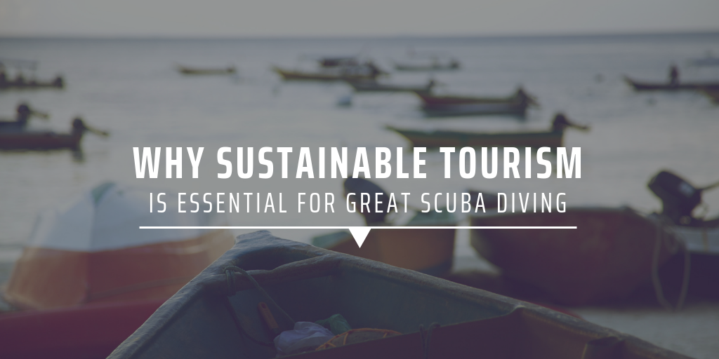 Why sustainable tourism is essential for great scuba diving