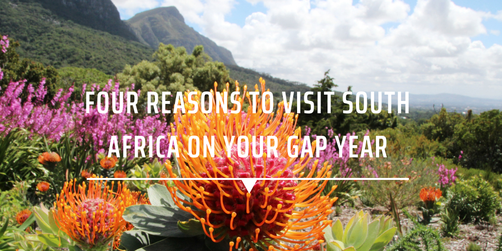 africa gap year travel