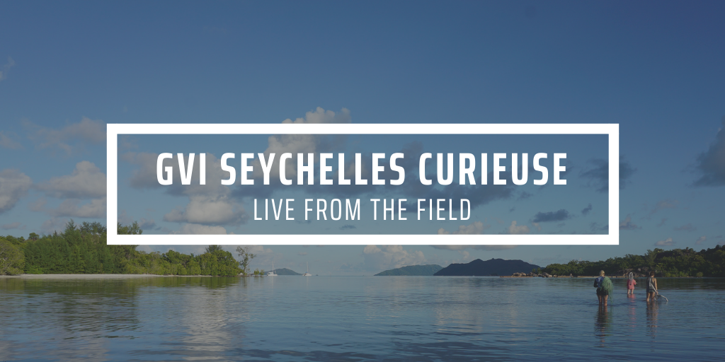 Background image of people volunteering in Seychelles